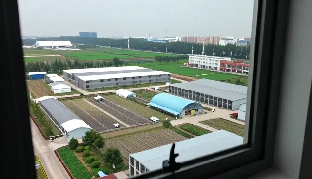 旧房翻新中使用管理咨询的优势分析